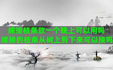 嫁接枝条放一个晚上可以用吗 嫁接的枝条从树上剪下来可以接吗